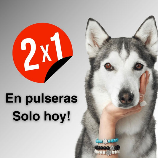 Pulsera "Amo a los perros" Ayuda a perros en necesidad